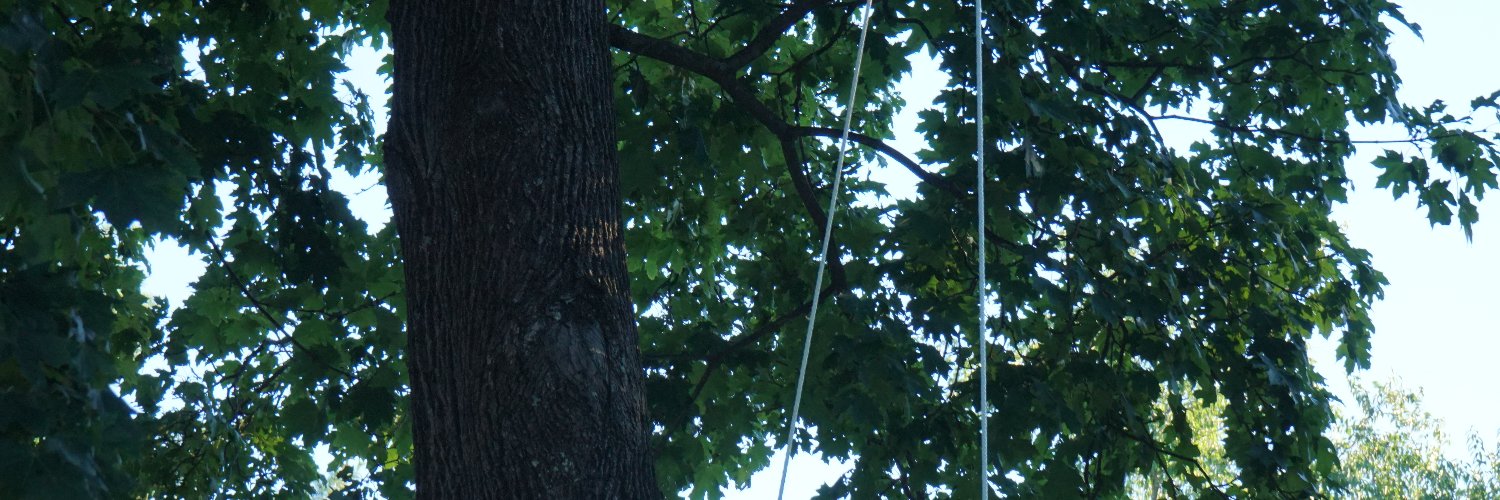 Gabe Fernandez 🇺🇦 banner