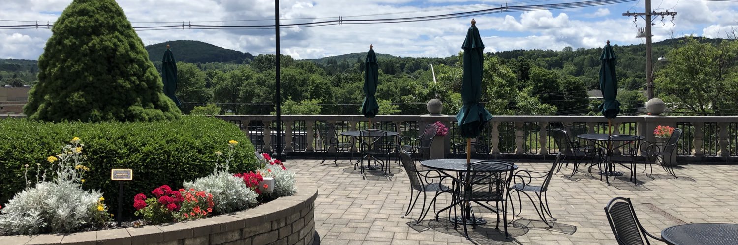 Suz Sunshine 📚💚❤️💙 banner