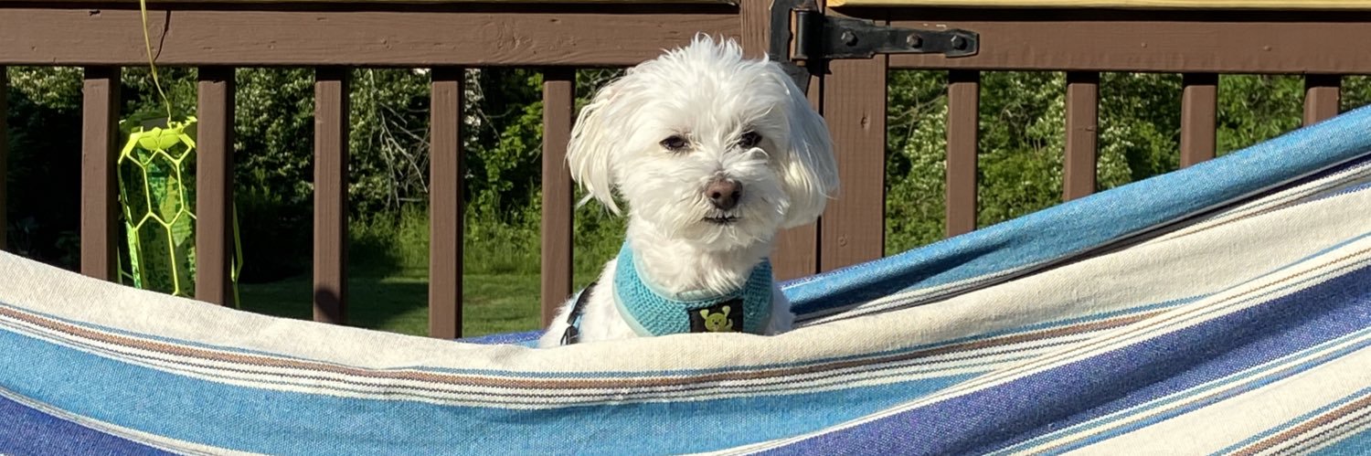 Mbbmomma's profile banner image