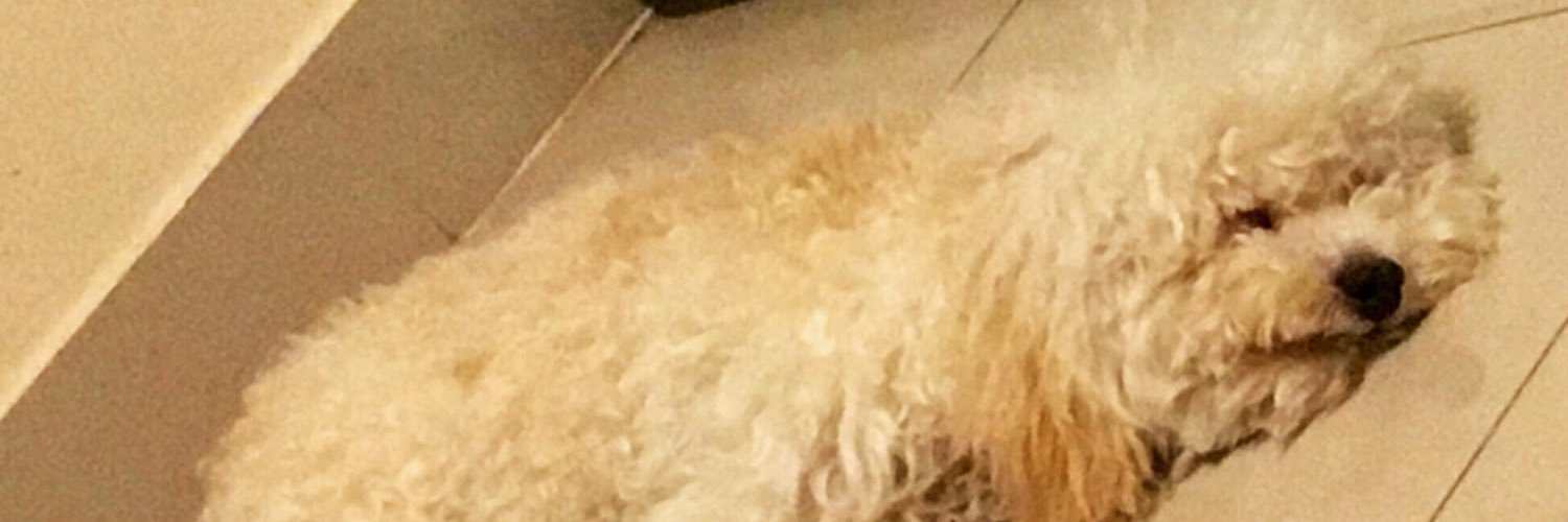 ElenabrainEm's profile banner image