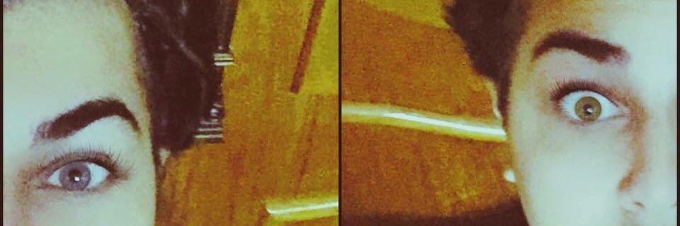 MS13F16's profile banner image
