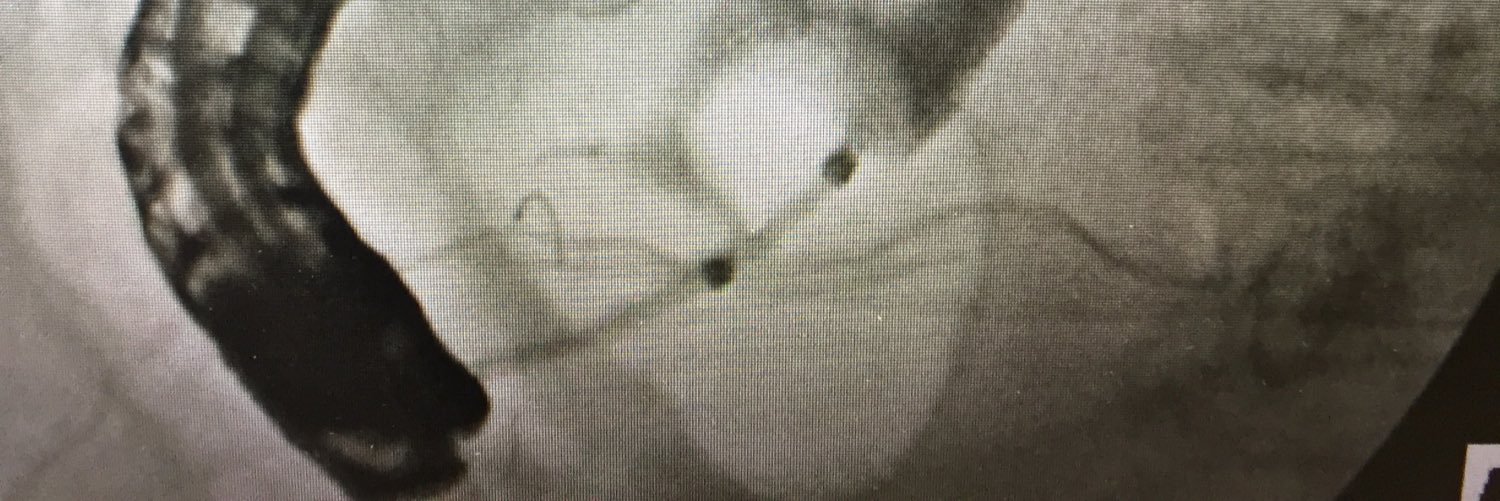 Michael Flicker, MD banner