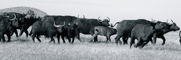 k_vanderwaal Profile Banner