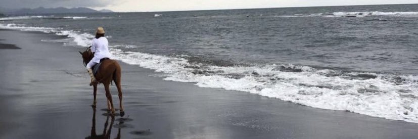 r_3580's profile banner image