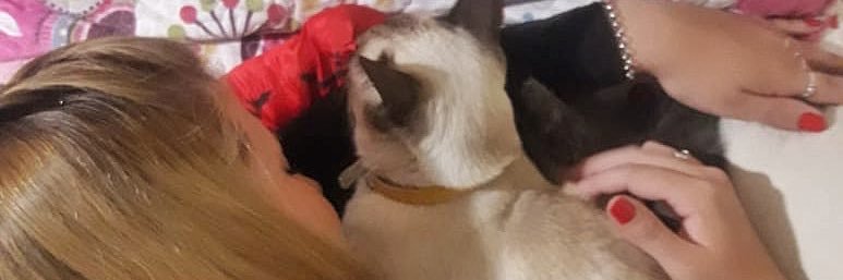 LuchiDettler's profile banner image