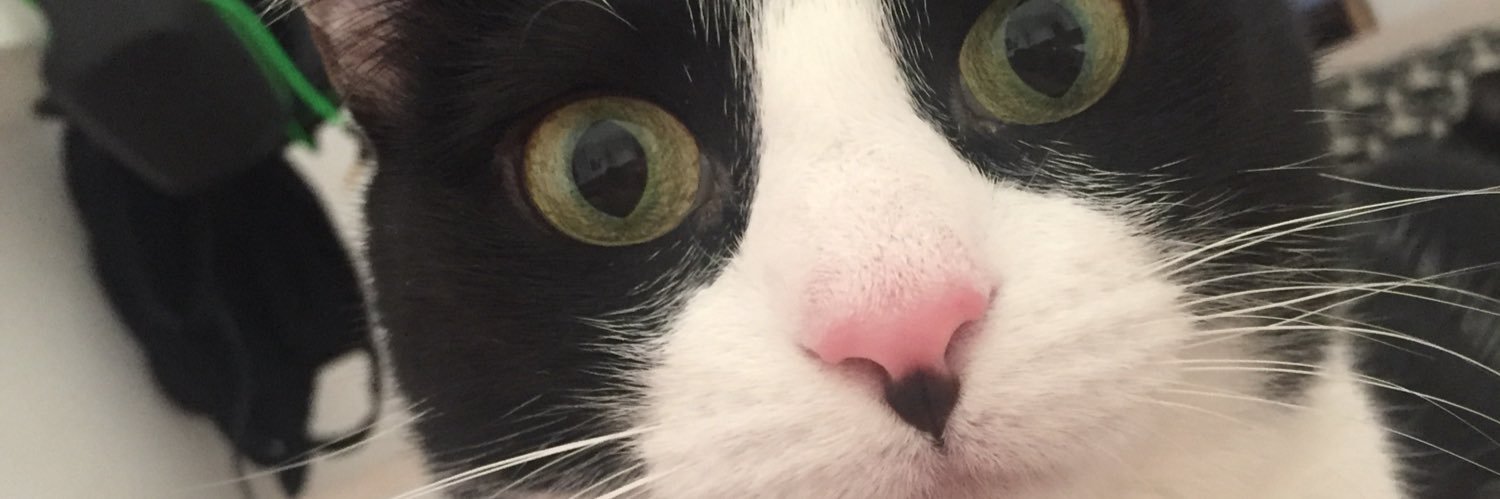 LiIMigui's profile banner image