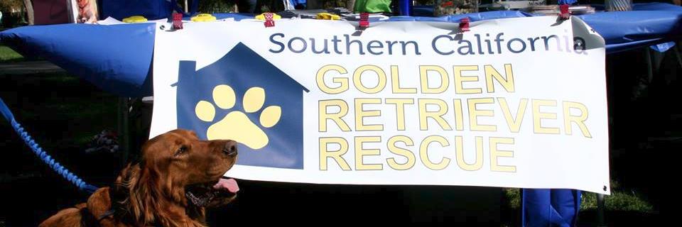 Southern California Golden Retriever Rescue banner