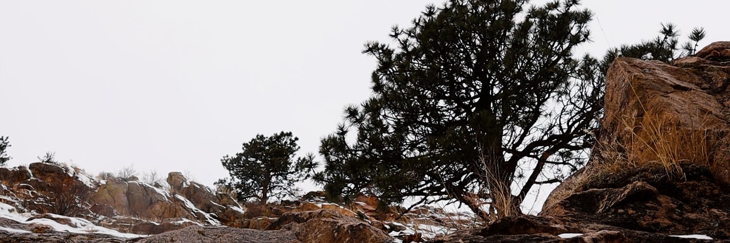 _jrm_98's profile banner image