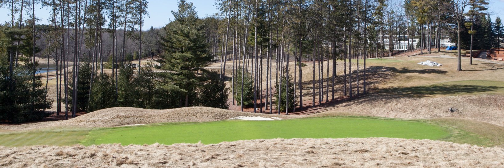 GreenJacket_TC's profile banner image