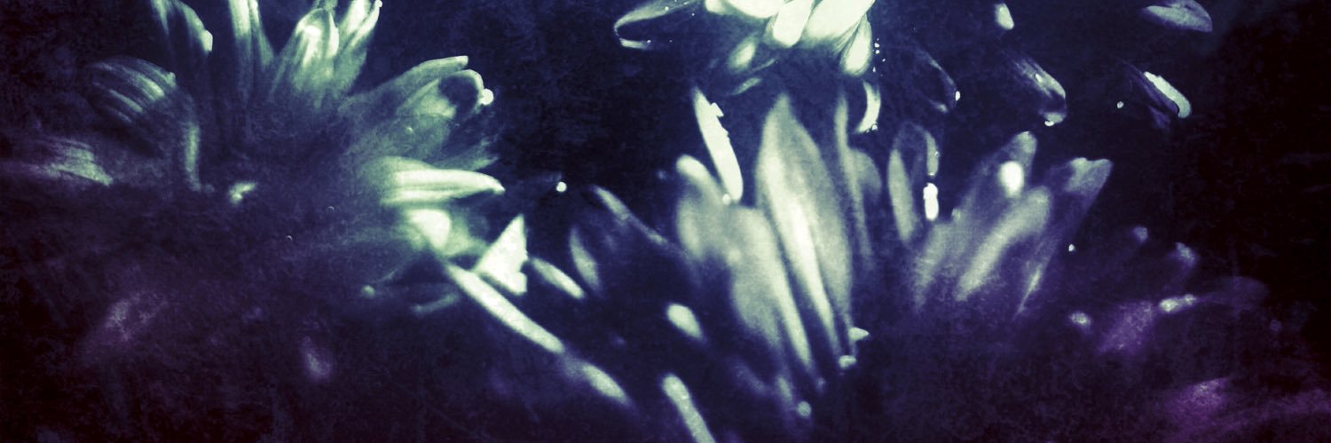 creativecruton's profile banner image