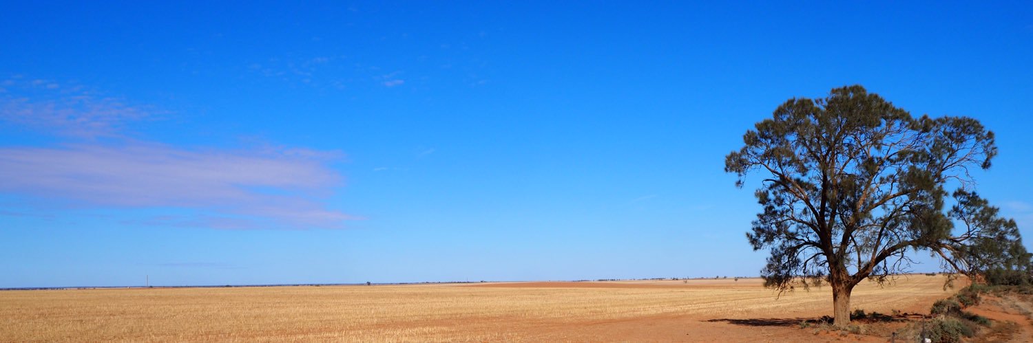 wayne1848's profile banner image