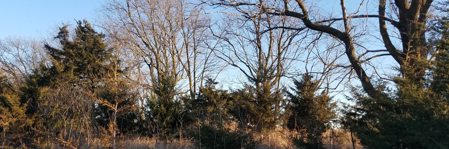 Steve2714's profile banner image