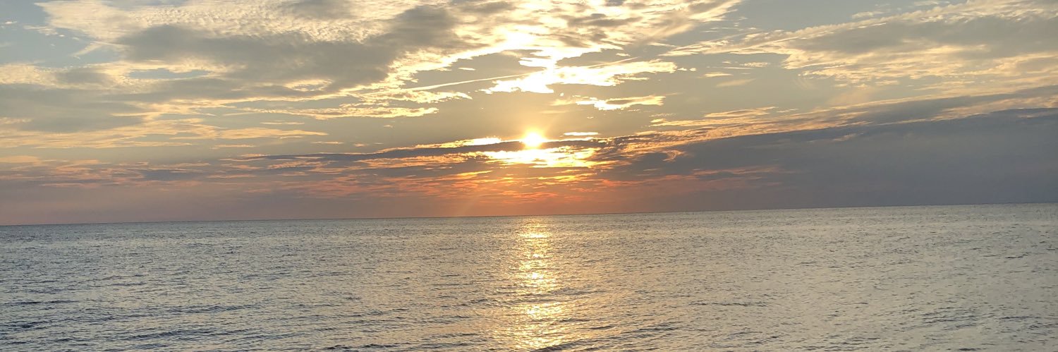 JuliaCucci's profile banner image
