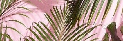 HarrietTBOOM's profile banner image