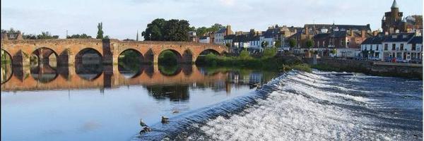 DGStandard Profile Banner