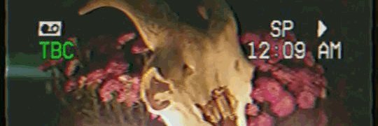 bruvaaintdead's profile banner image
