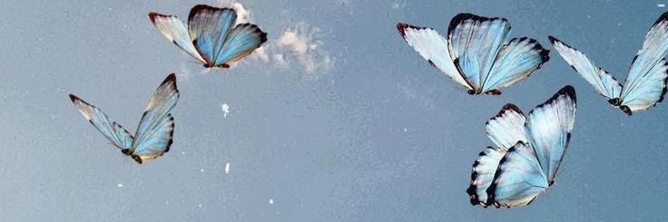 Anto_Robles's profile banner image