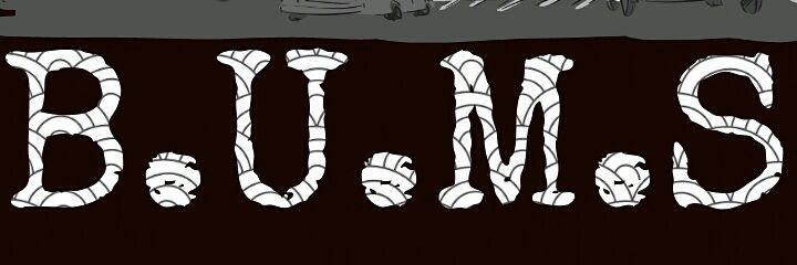 BUMSmedia's profile banner image