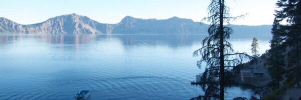 dfeldman Profile Banner