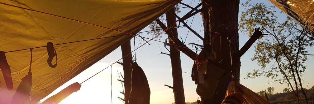 TrueJapcun's profile banner image
