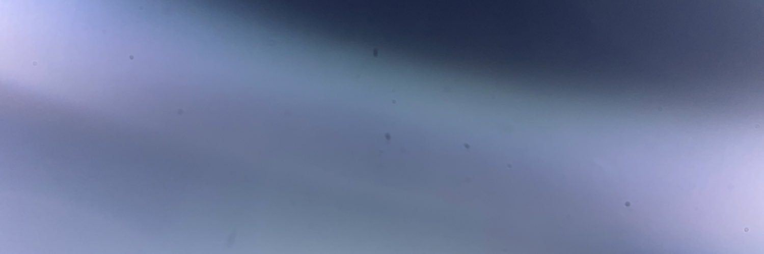 am_the_end's profile banner image