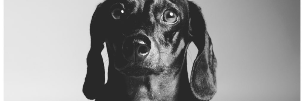 taniacv8's profile banner image