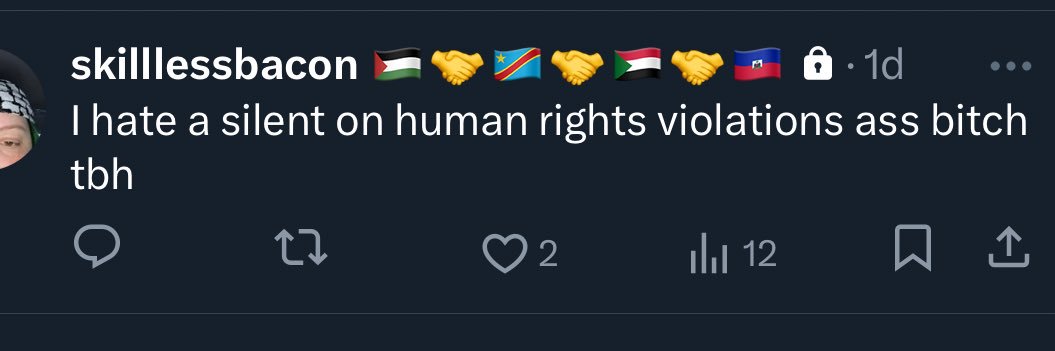 skilllessbacon 🇵🇸🤝🇨🇩🤝🇸🇩🤝🇭🇹 banner