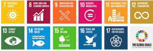 CanadaCulinary Profile Banner