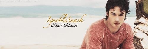 IgnobleSnark's profile banner image