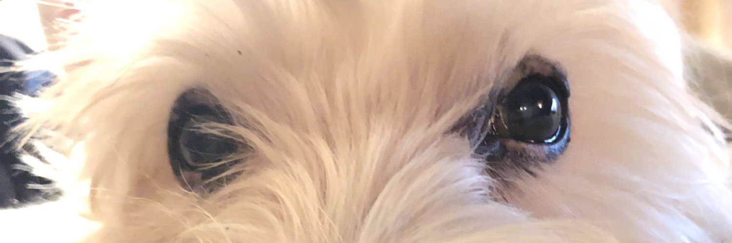 christos14's profile banner image