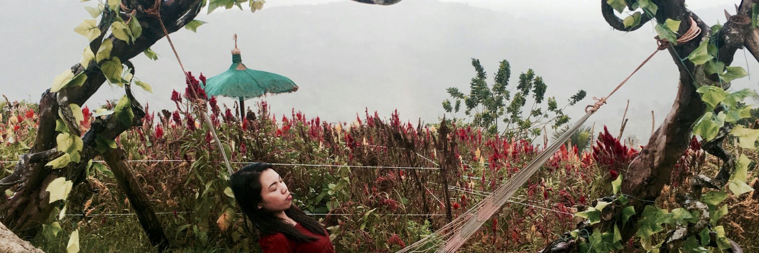 erinethakCL's profile banner image