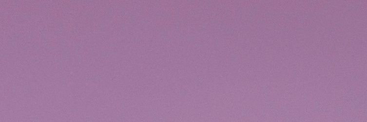 jt2020florida's profile banner image