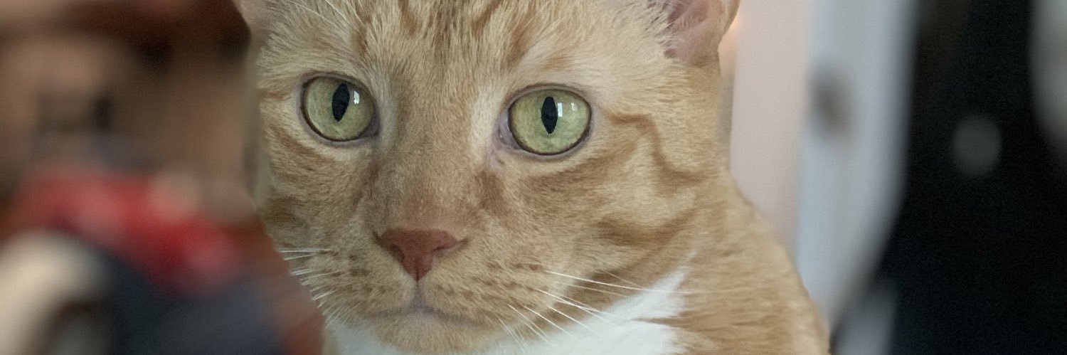 Obimoney's profile banner image
