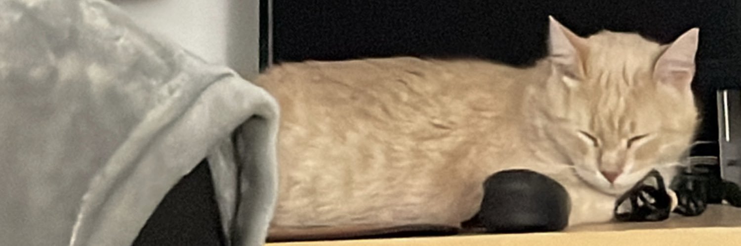 LuchoScr's profile banner image