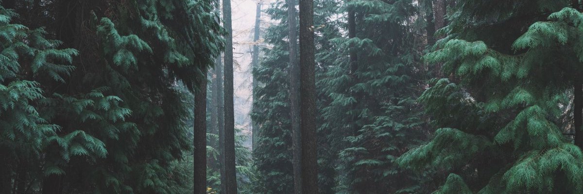 mssy420's profile banner image