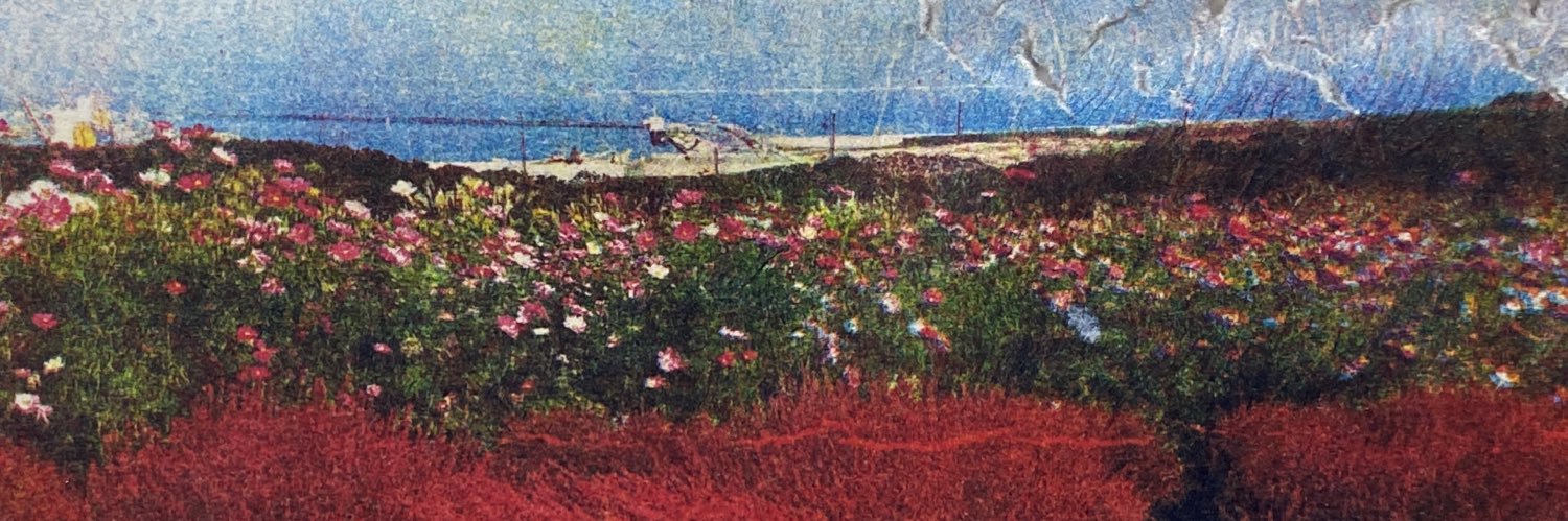 stes5827's profile banner image