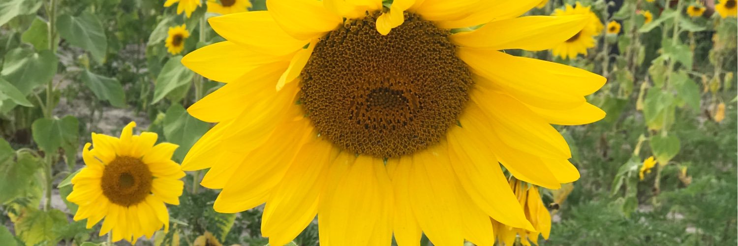 cmoserr's profile banner image