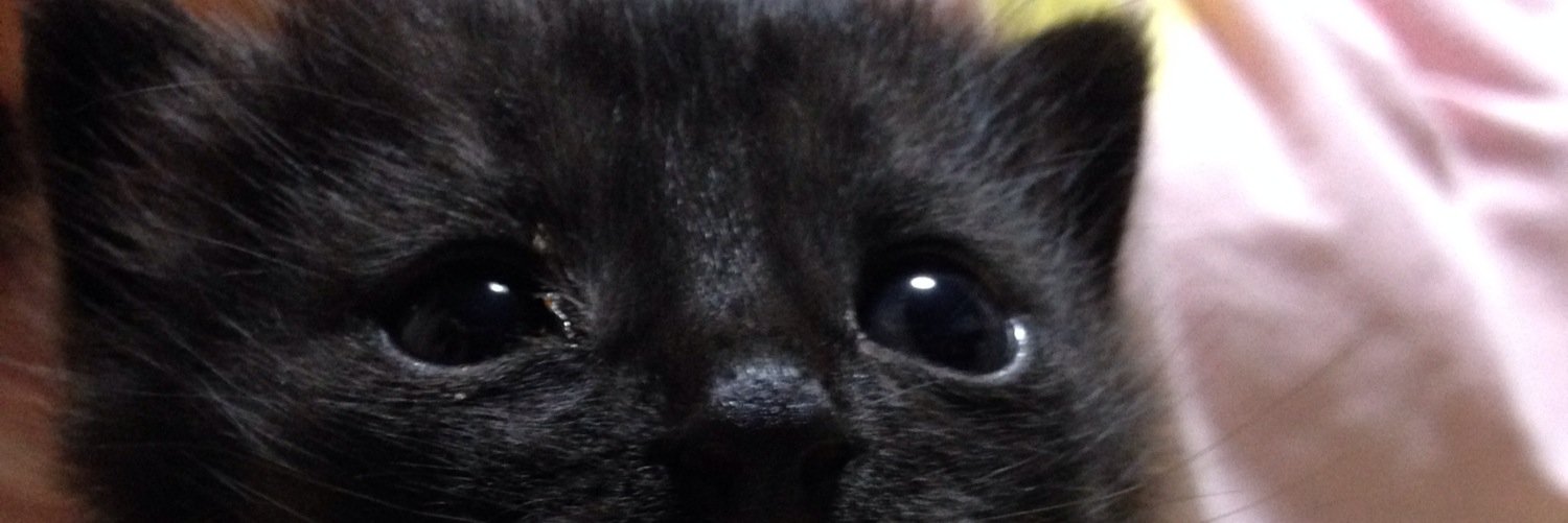 crescent_mi's profile banner image