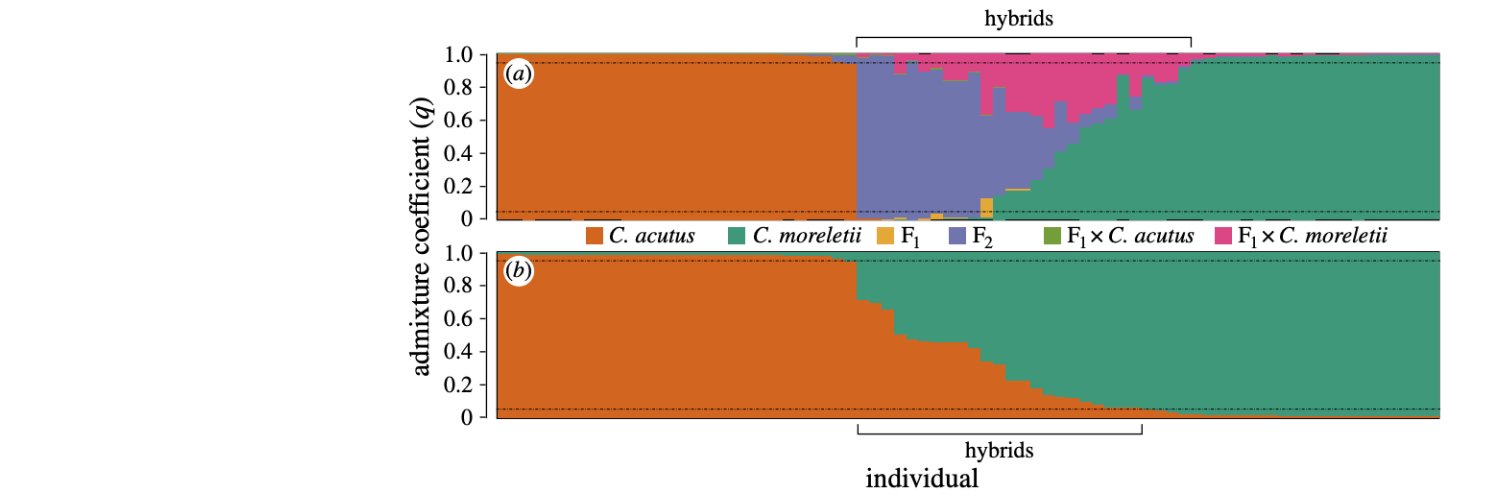 Seth Cunningham banner