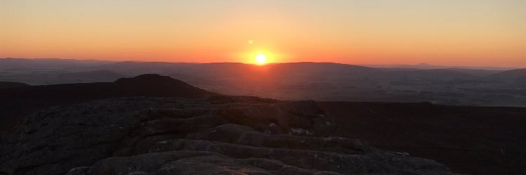 Michelle Milne banner