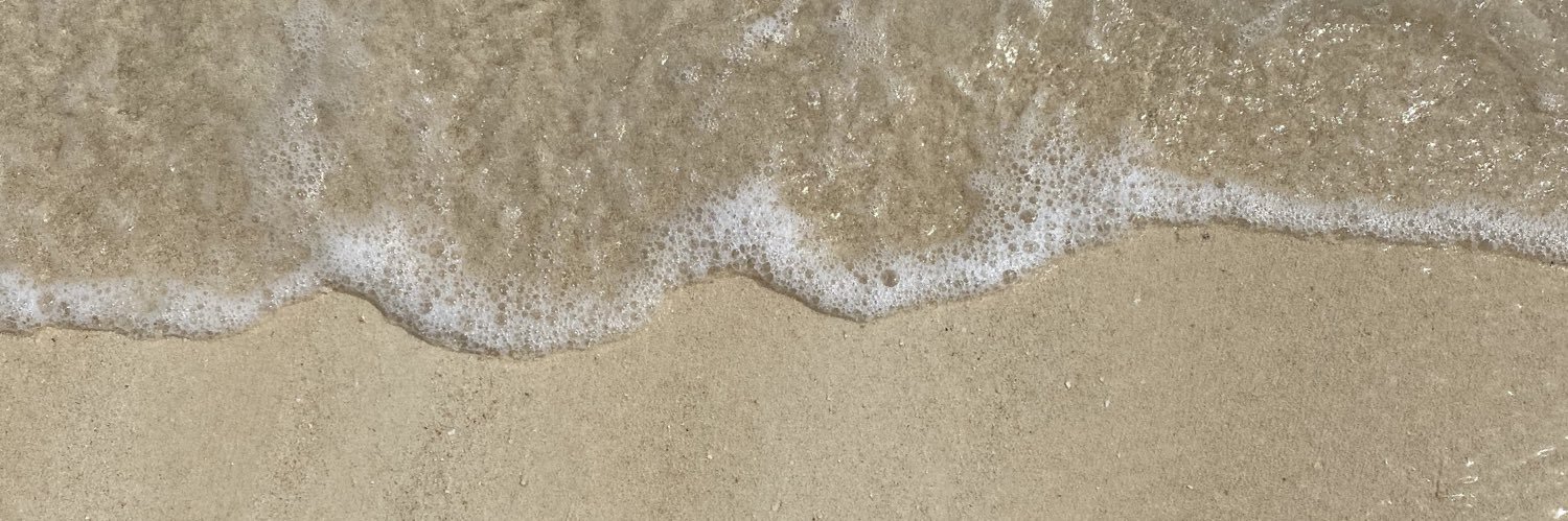 _sofiasyy's profile banner image