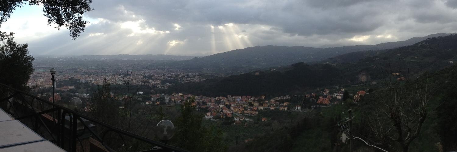 Tonya Sieracki banner