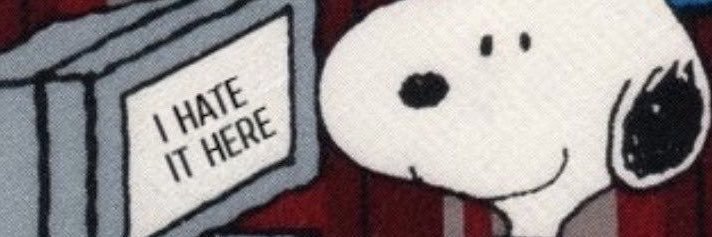 dmerymar's profile banner image