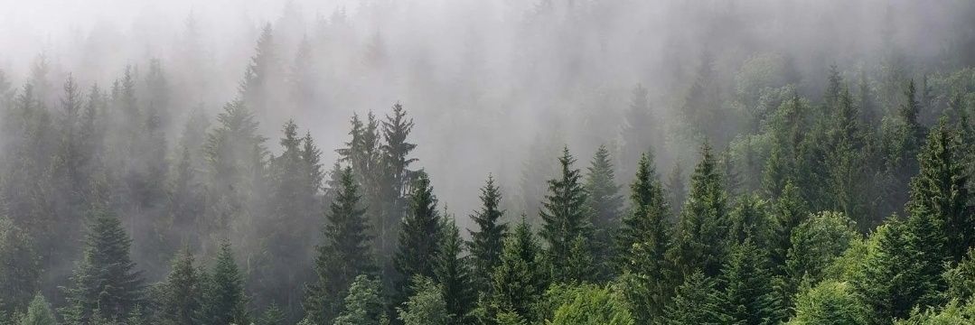 Ghaillean ☽◯☾ banner