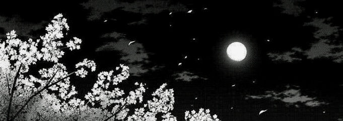prettylunaeo11's profile banner image