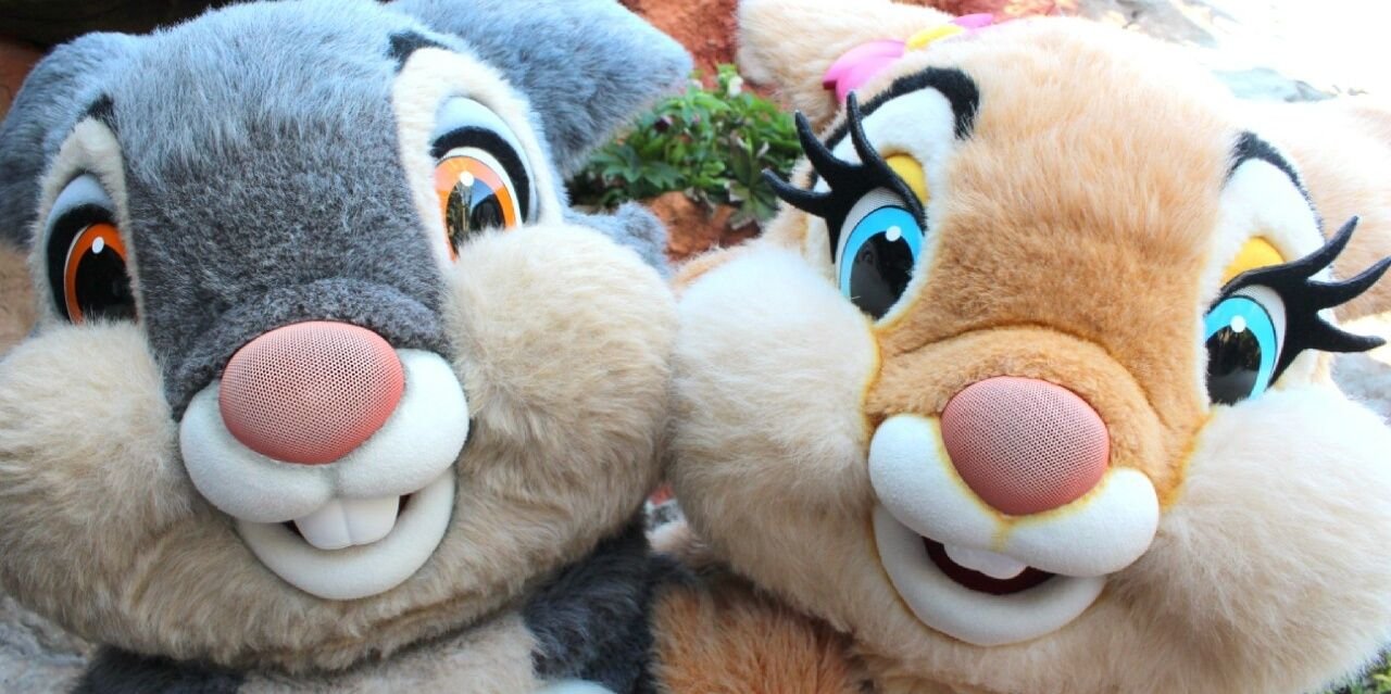 tonnmay's profile banner image