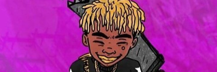 hazelthefoxx's profile banner image