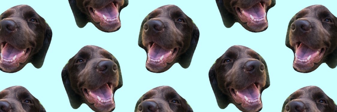 Emily Starling banner