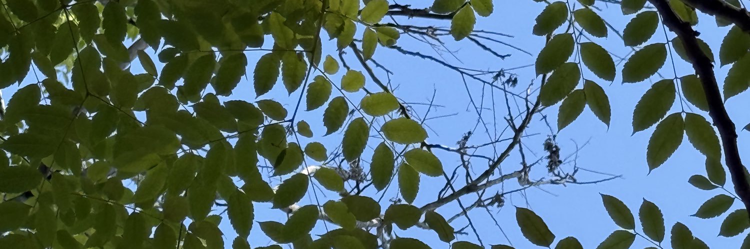 _ellie4_'s profile banner image