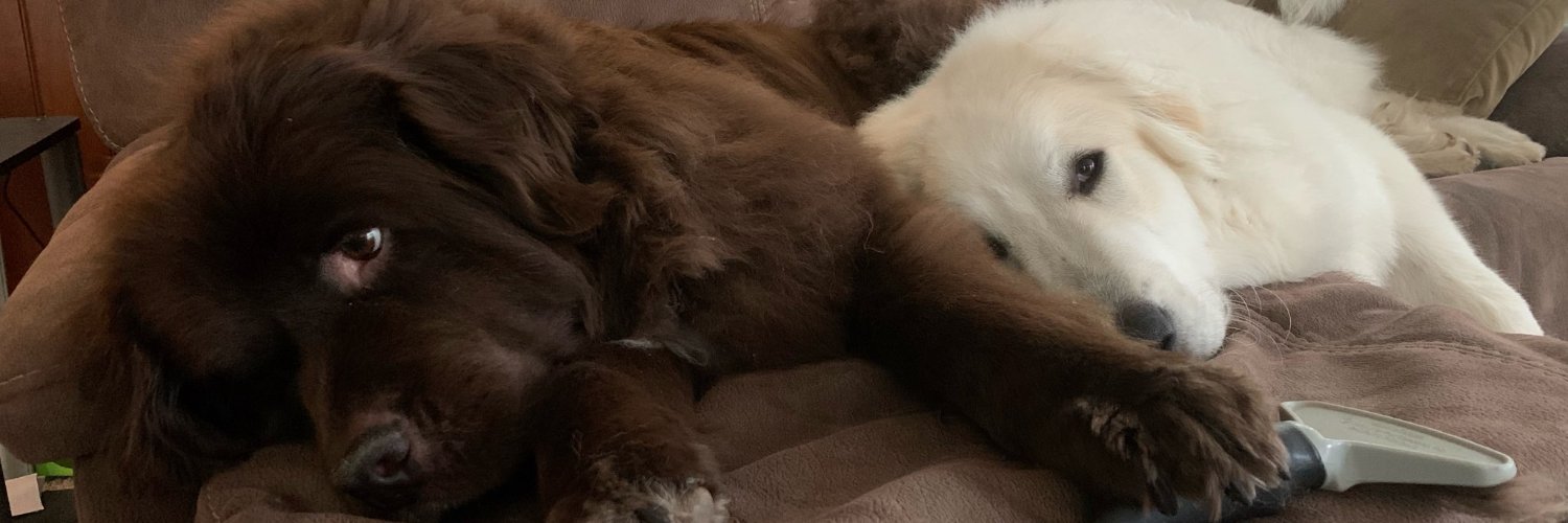 Niner ,,6944,6889 +/-,6851,6730,6765,6500.6450 banner